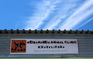 Mdzananda Animal Clinic
