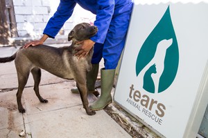 Tears Animal Rescue