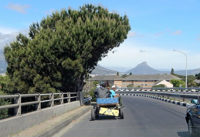 Photo of a cart and horse on a tar road