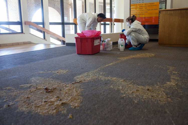 Photo of faeces on the floor of the UCT Law Building
