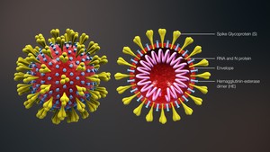 Photo of coronavirus