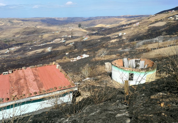 Photo of burnt landscape