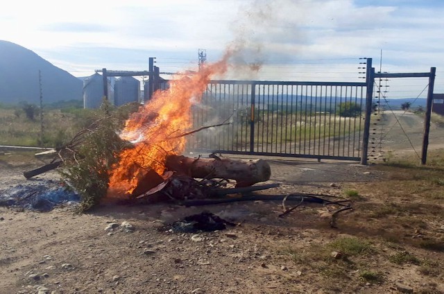 Photo of a burning felled tree at a gate