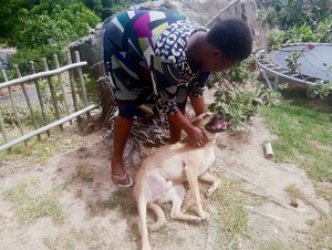 Photo of a woman playing with a dog