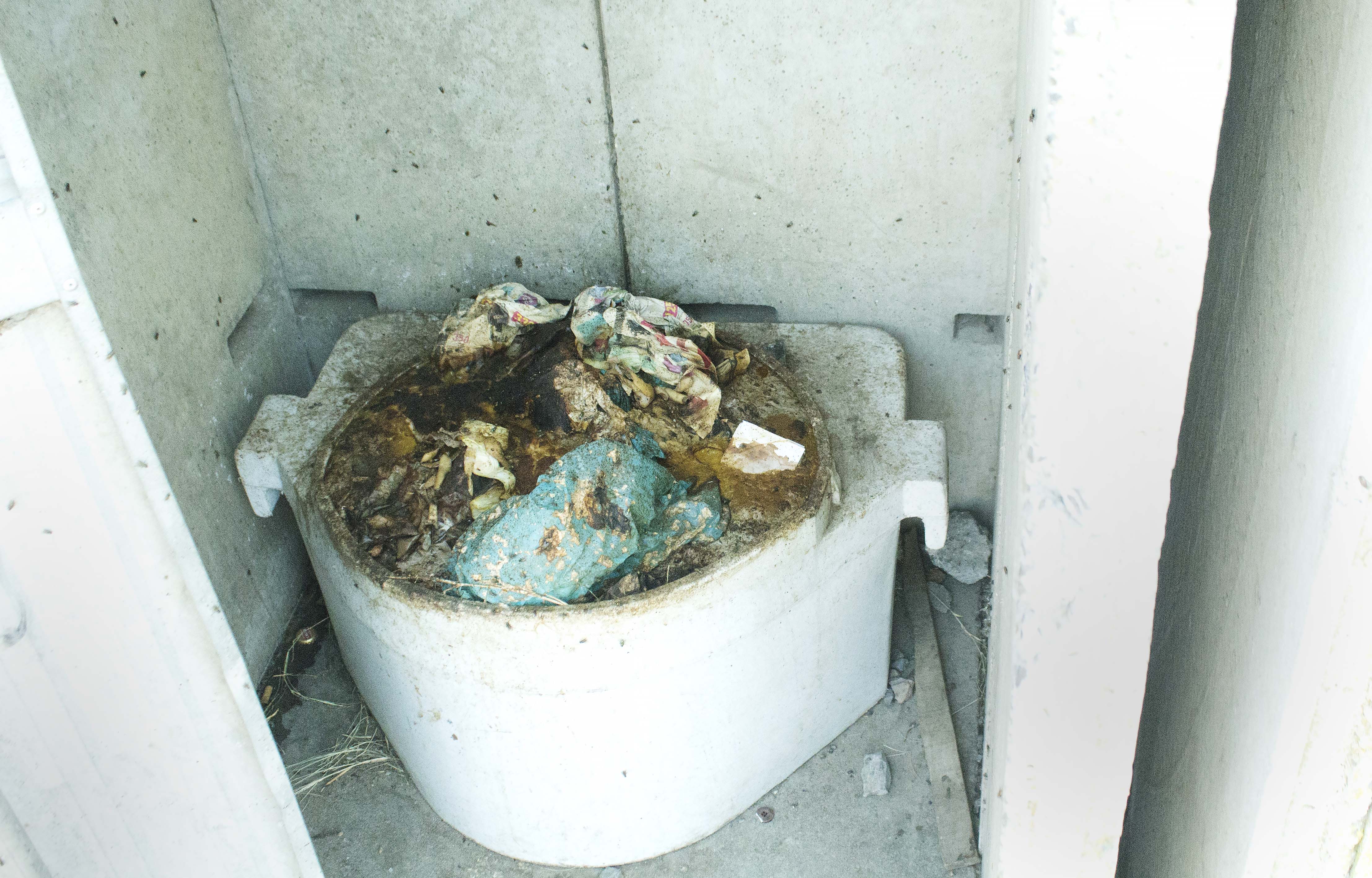 Photo of a filthy communal toilet (far worse than the one in Trainspotting).