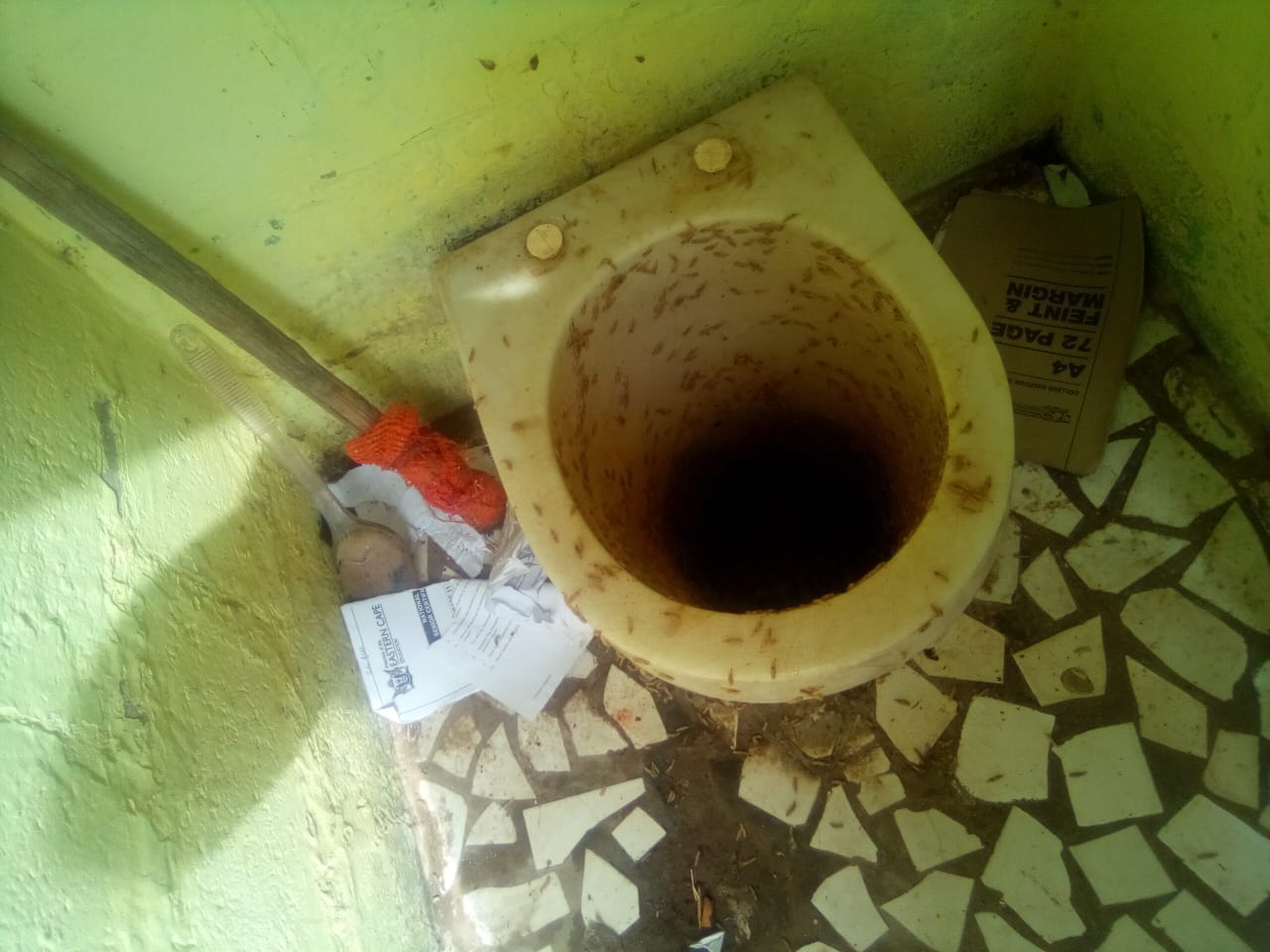 Maggots have taken over the toilets in this neglected small town in